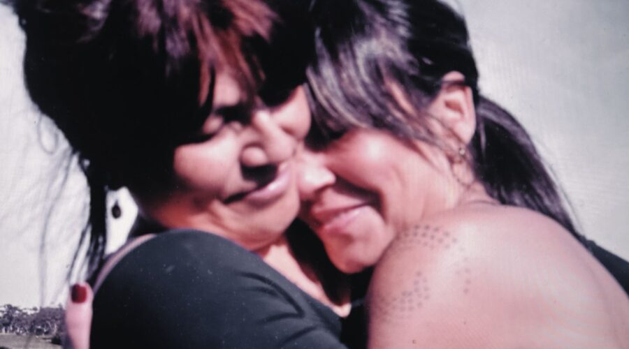 <? $single_post->image['alt']; ?>